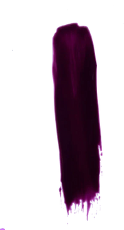 Tammy Taylor Nail Lacquer -chamed